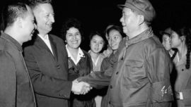 mao_grippa_1.jpg