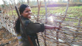 naxal-3.jpg