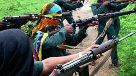 naxal-8.jpg