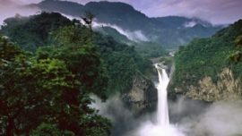 yasuni_2.jpg