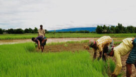 bangladesh-7.jpg