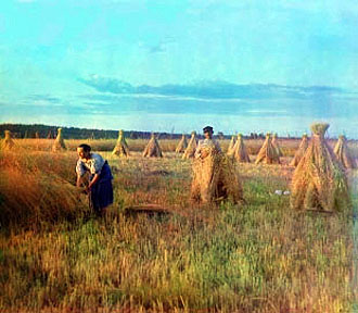 la_russie_tsariste_et_le_developpement_capitaliste_6.jpg
