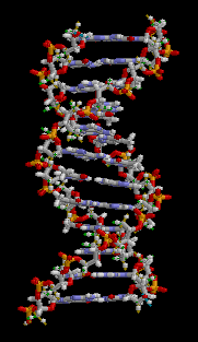 Expérience-Miller-Urey-8