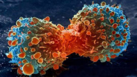 Cancers-1