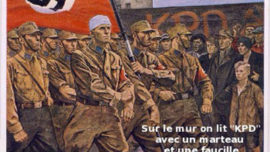 ns2_2c-ce3f1.jpg