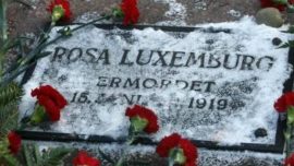 rosa_luxemburg-5.jpg