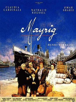 mayrig.jpg