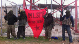 mlspb_2.jpg