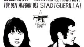 fur_den_aufbau_der_stadtguerilla.png