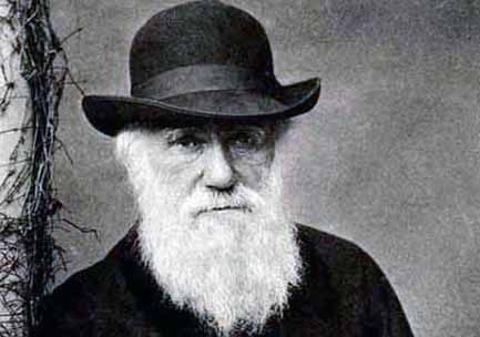 darwin-1.jpg