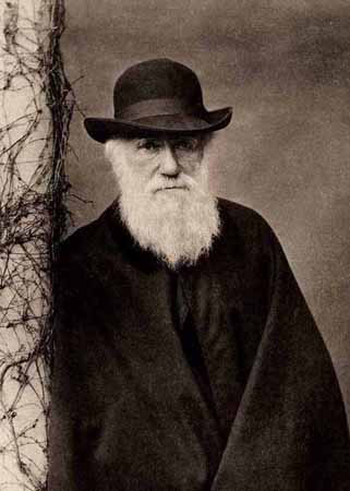 darwin-4.jpg