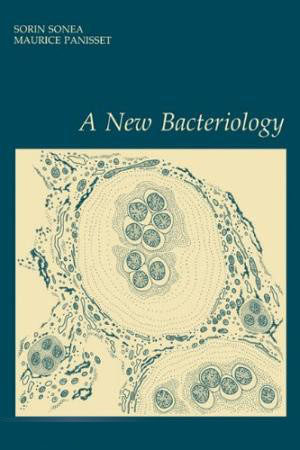 les_bacteries-une_entite_mondiale-2.jpg