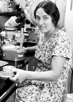 lynn_margulis-jeune.jpg