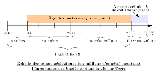echelle-temps-geologiques.png