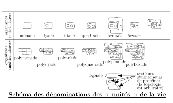 schema-monade-triade.png