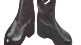furet-nolte.jpg