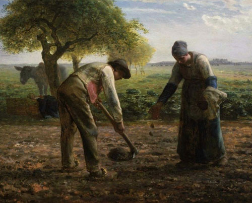 jean-francois_millet-planteurs_de_pommes_de_terre.jpg