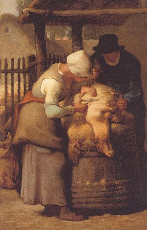 jean-francois_millet_-la_tondeuse_de_mouton.jpg