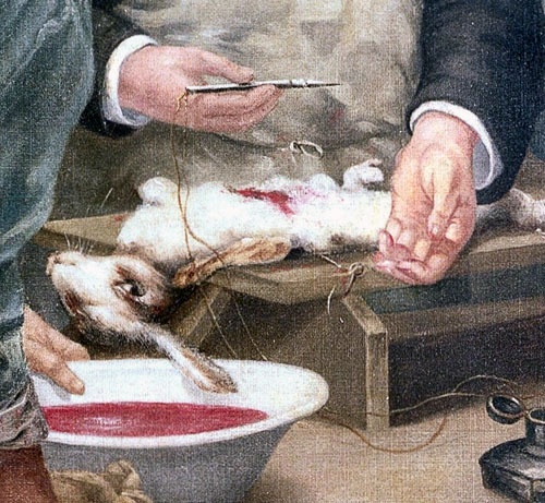 la_lecon_de_claude_bernard-2.jpg
