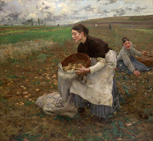 la_recolte_des_pommes_de_terre.jpg