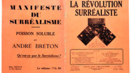 rev_sur-2.jpg