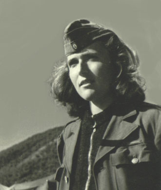 adg-4.jpg