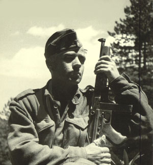 adg-6.jpg