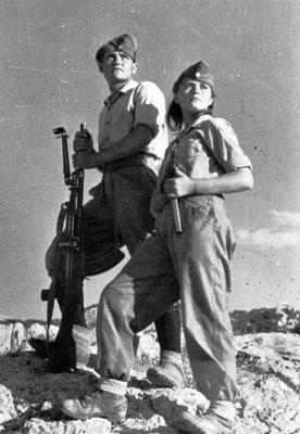 dse-1.jpg