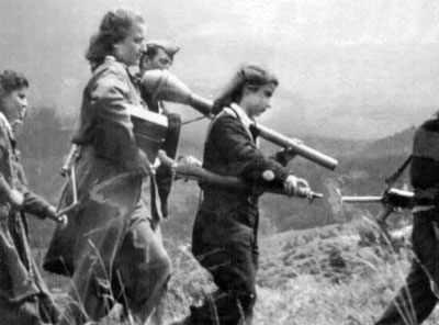 elas33.jpg