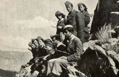 elas37.jpg