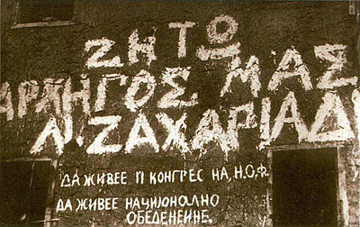 vive_zakariadis.jpg