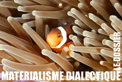diamat5.png