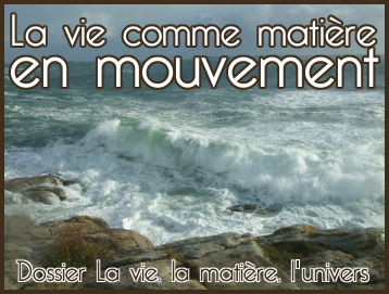 vie-matiere-univers.png