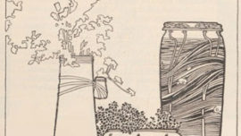 ver_sacrum2-2.jpg