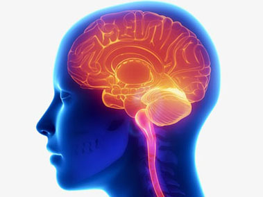 le-cerveau-l_ordinateur-2.jpg