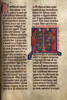 augustin-conseils-2.jpg