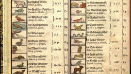 orbis-sensualium-pictus-7.jpg