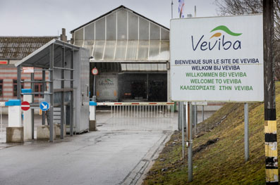 veviba-1.jpg
