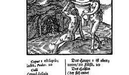 comenius-23.jpg