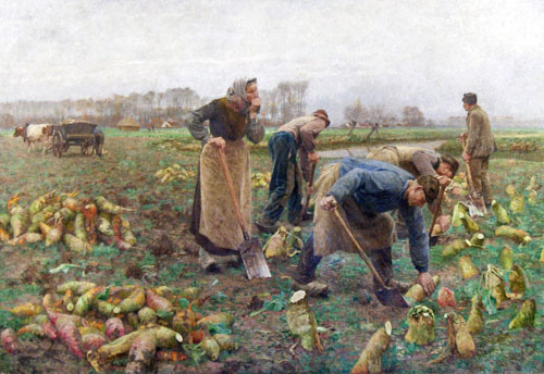 Émile Claus - De Bietenoogst (La Récolte des betteraves)