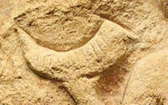 venus_de_laussel_corne.jpg