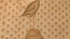 phenix.jpg