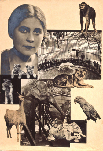collage1.jpg