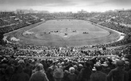 Stade du dynamo