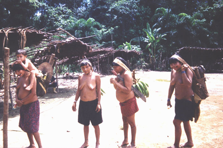 Femmes yanomamies au Venezuela (wikipedia) ; les Yanomamis sont très tournés vers la guerre inter-tribale, avec le viol collectif et l’enlèvement de femmes, ainsi que l’utilisation de violences physiques contre les femmes en général au sein de la tribu