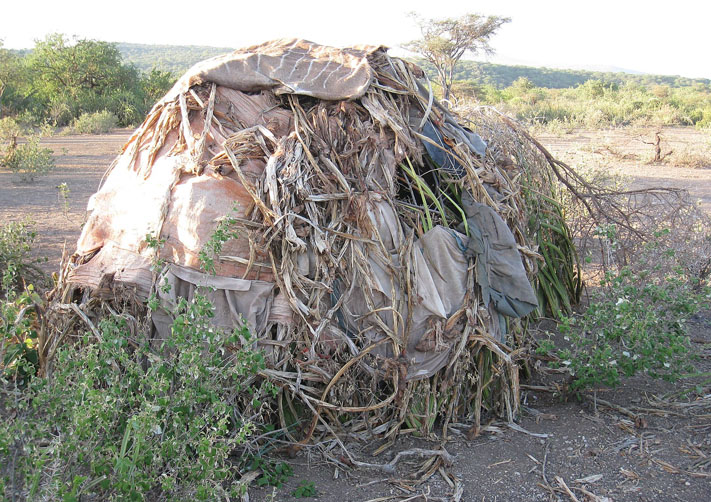 Hutte hadza en Tanzanie, début du 21e siècle (wikipedia)