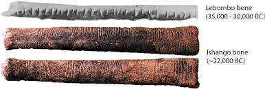 L’os de Lebombo et celui d’Ishango (J.D. Loreto and D.H. Hurlbert Smithsonian)