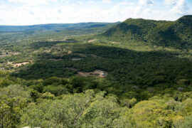 Le Paraguay est un des pays les plus touchés par la déforestation