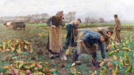 Émile Claus - De Bietenoogst (La Récolte des betteraves)