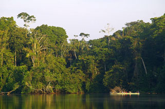 L'Amazonie, sanctuaire mondial